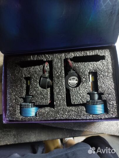 Led лампы под ксенон d2s