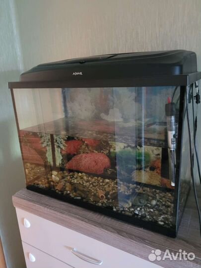 Аквариум 70*50*35 с крышкой