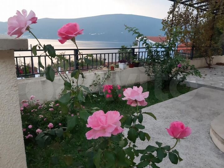 Квартира-студия, 33 м² (Черногория)