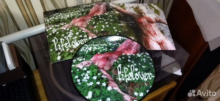 Пластинки рок,хард-рок,метал,пoп