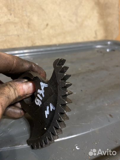 Полумесяц Ява