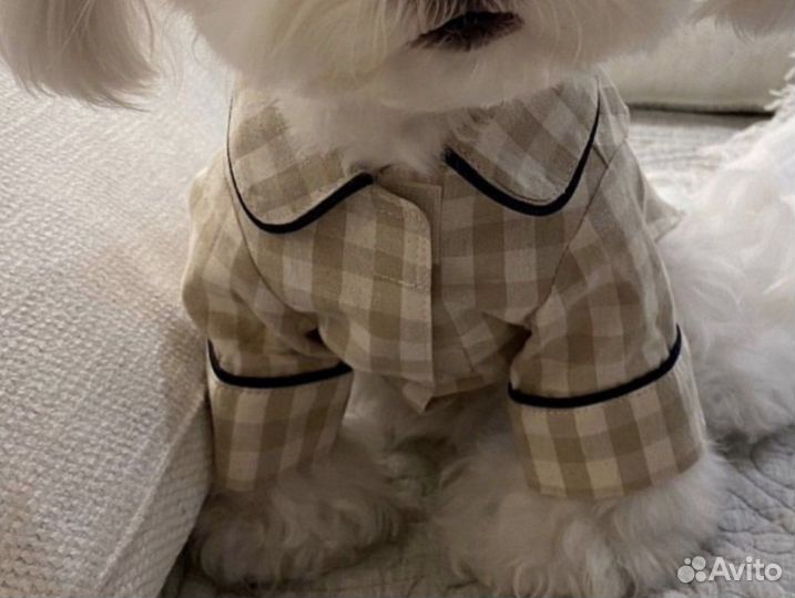 Одежда для собак