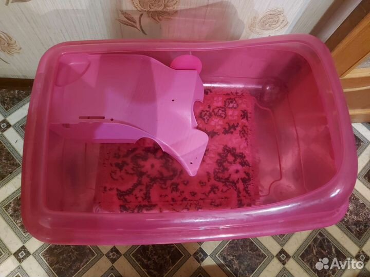 Бассейн для черепахи