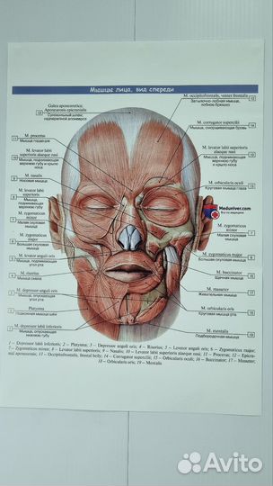 Плакаты постеры