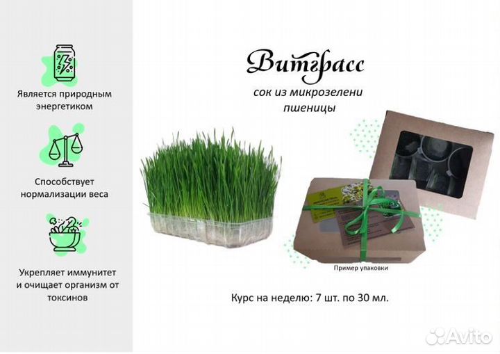 Микрозелень, Витграсс, съедобные цветы