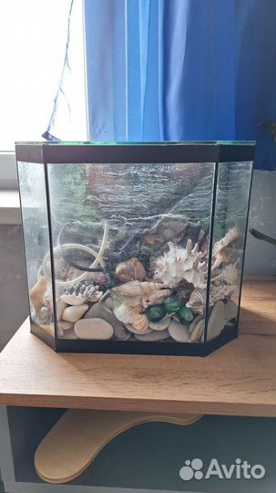 Аквариум