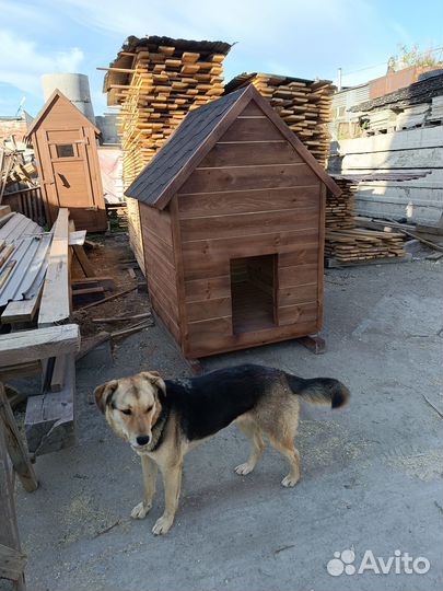Будка для собак