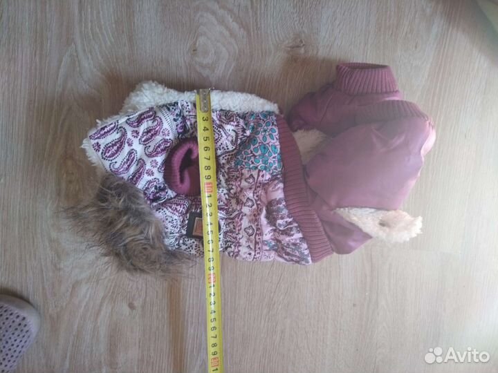 Одежда для собак