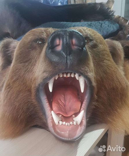 Изготовление трофеев