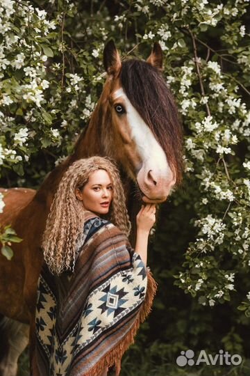 Фотосессии с уникальными лошадьми