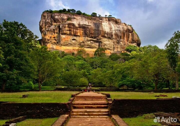 Путевка на Шри-Ланку за 2-х чел