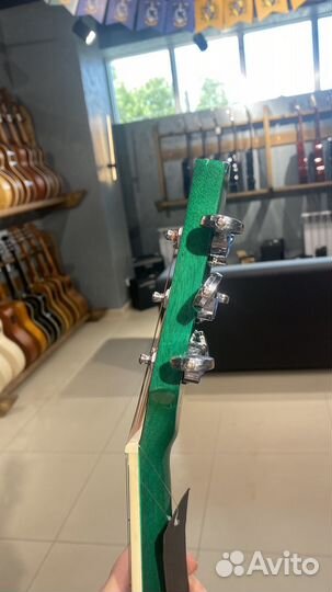 Акустическая гитара Elitaro E4010 GR