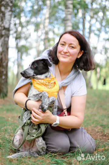 Щенок из приюта в дар