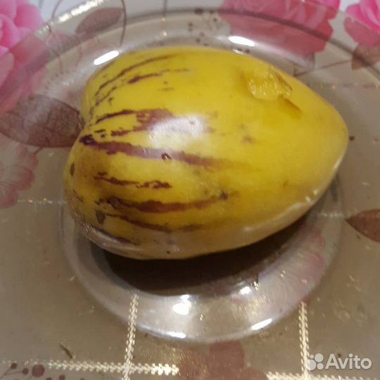 Пепино или дынная груша(черенков мало )