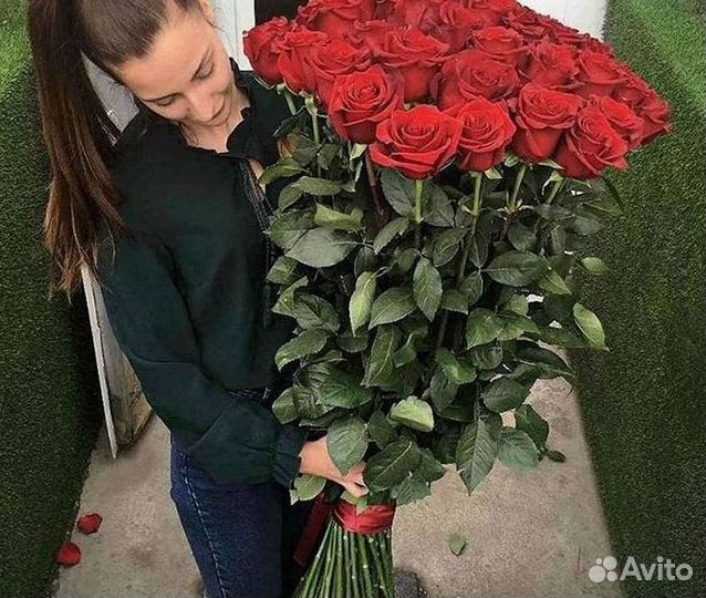 Розы гиганты 140 150 160 170 180 200