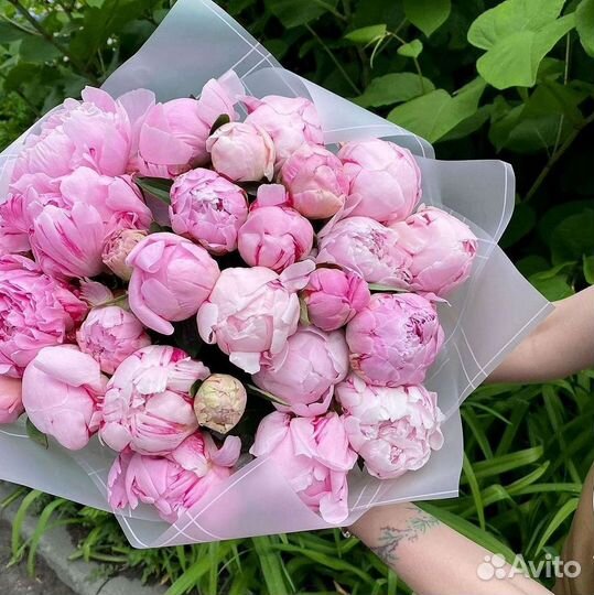 Пионы Букет пионов