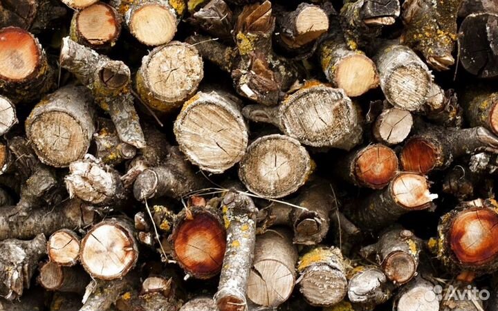 Дрова для камина