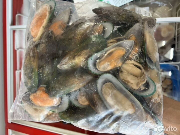 Мидии киви на половинках раковины зеленые