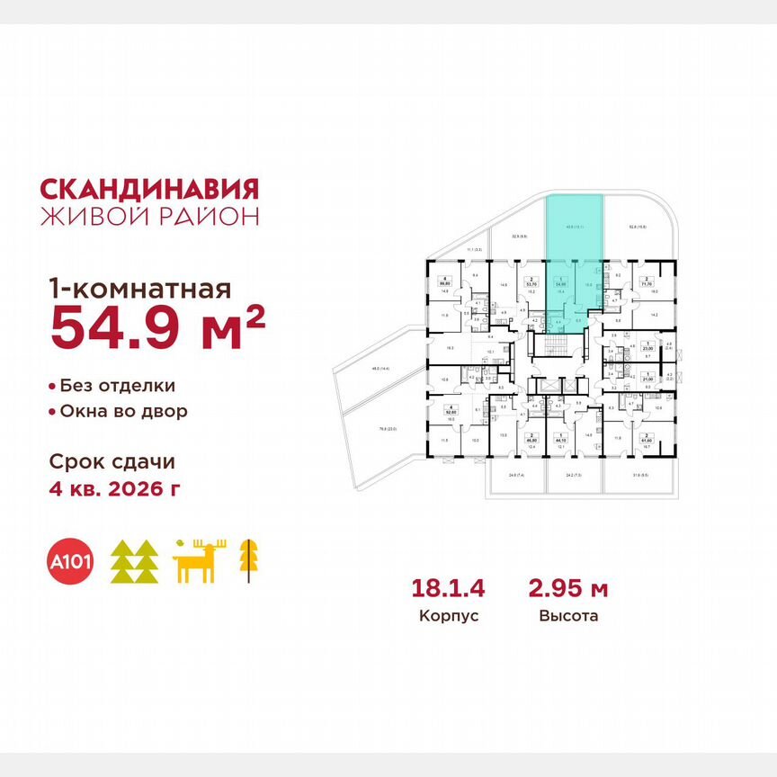 1-к. квартира, 54,9 м², 2/13 эт.