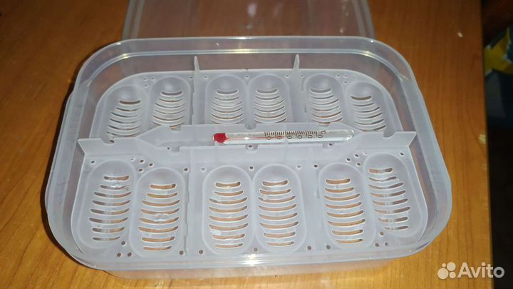 Инкубатор, термоковрик для рептилий