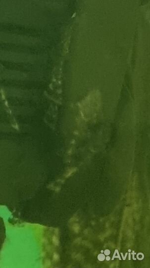 Аквариум,рыбки