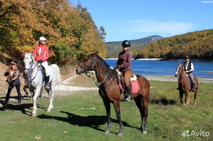 Экскурсии, конные прогулки