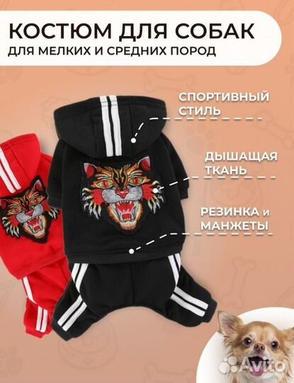 Комбинезон для собаки