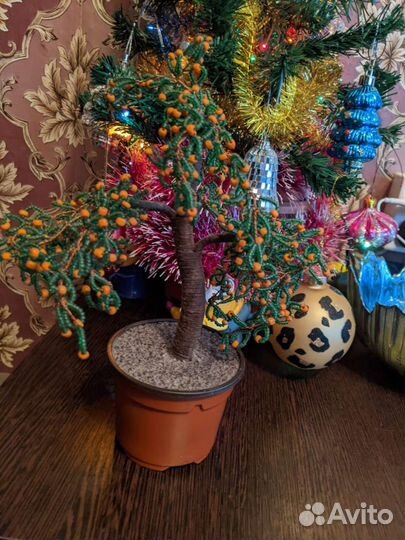 Апельсиновое дерево