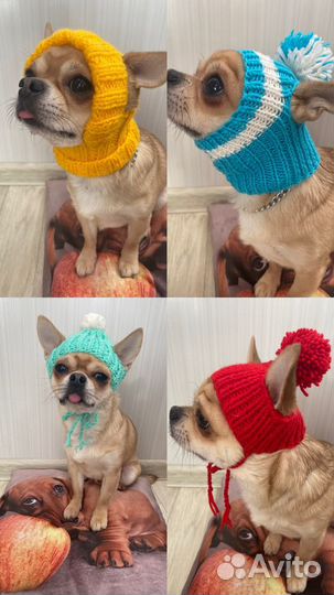 Одежда на собачку вязаные Свитер и Шапочки