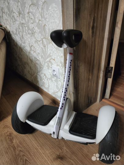 Segway ninebot mini
