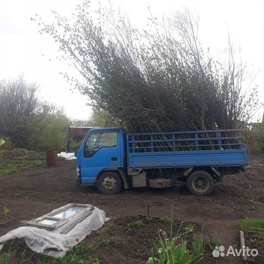 Вывоз мусора