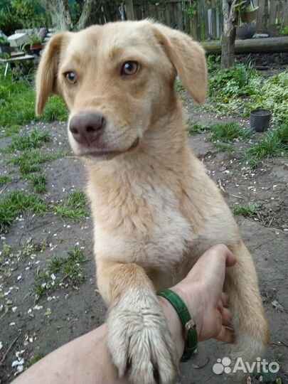 Злата, 8 месяцев