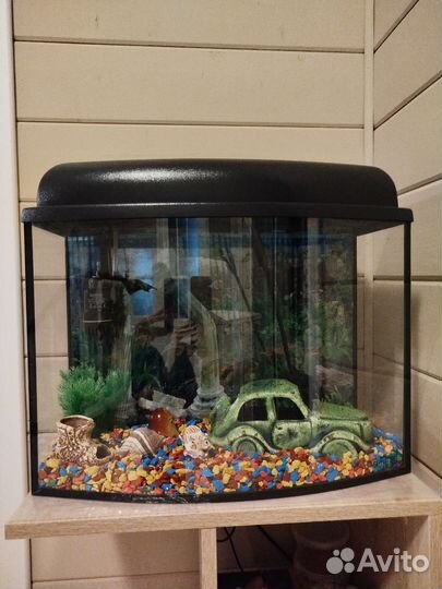 Аквариум