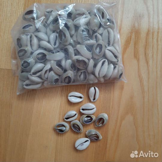 Ракушки каури 2 см 116 шт