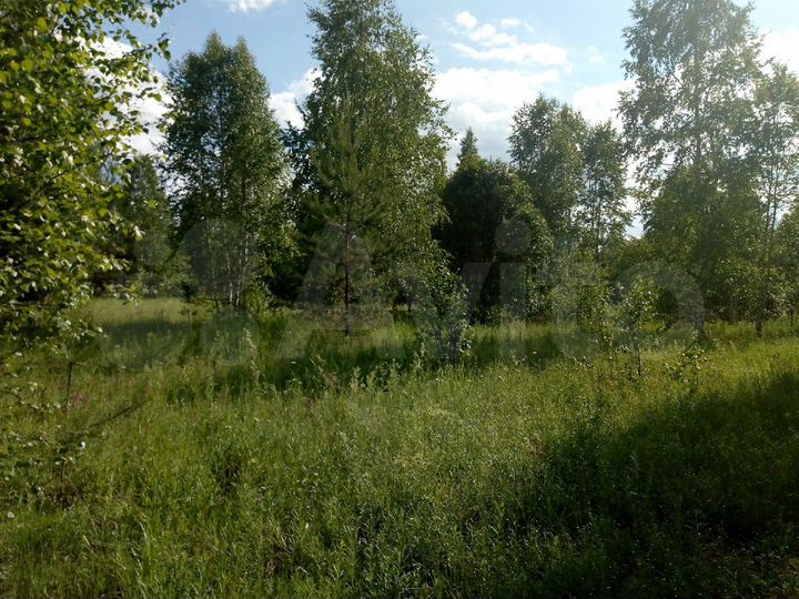 Участок 10 сот. (СНТ, ДНП)