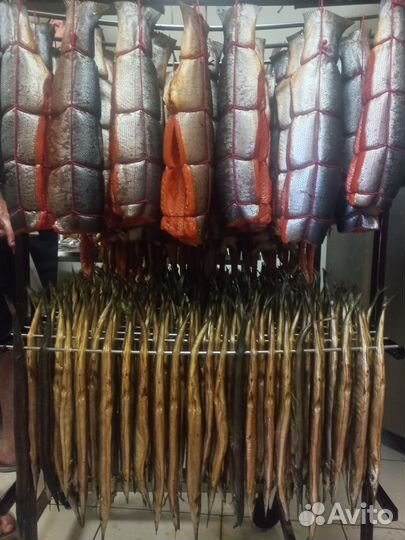 Форель х/к г/к в наличии