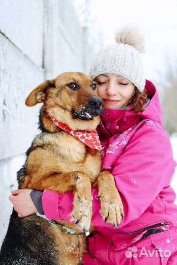 Забава в добрые руки