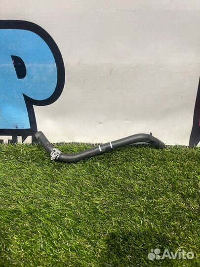 Патрубок (трубопровод, шланг) Ford Ranger 4 T6.2