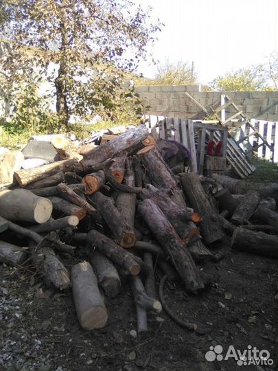 Спил деревьев