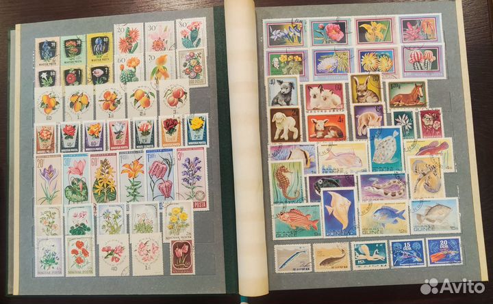 Большой альбом марок. Флора и фауна