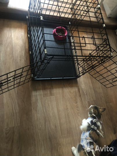 Вольер для животных аренда кошек,собак