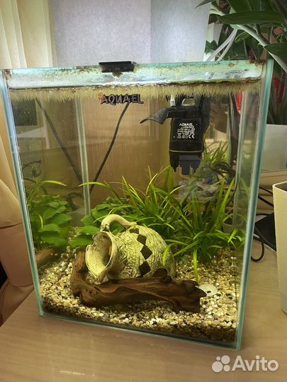 Аквариум Aquael 20 (19 л) Day&Night