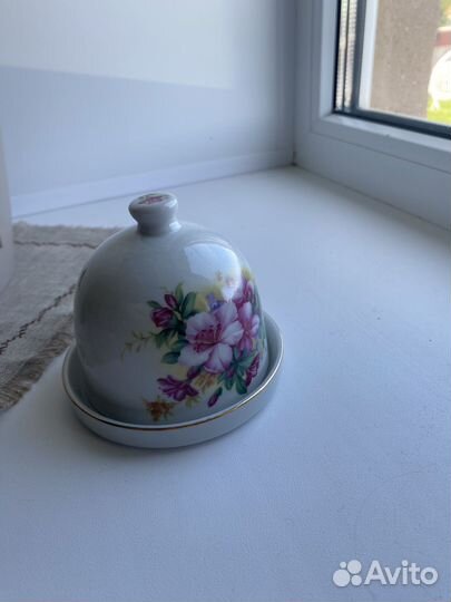 Лимонница новая