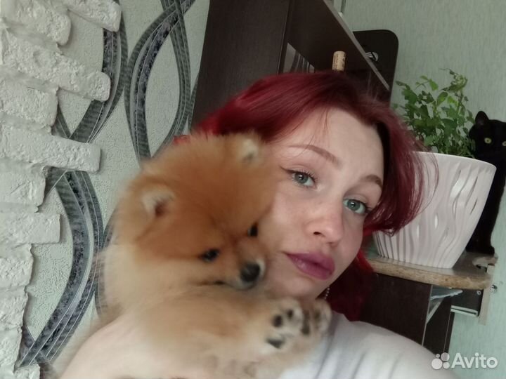 Передержка кошек, собачек, грызунов