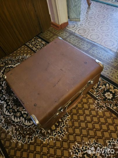 Баян Студент