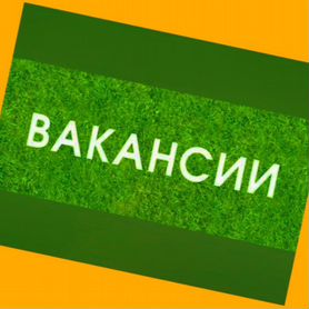 Жиловщик мяса Вахта с проживанием Аванс еженедельно