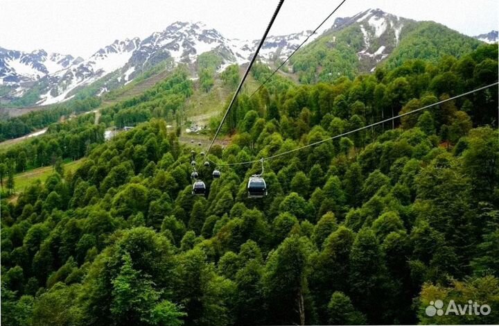 Роза Хутор от 3* на 6 н. проживание