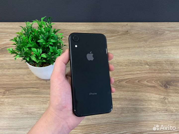 iPhone Xr, 128 ГБ