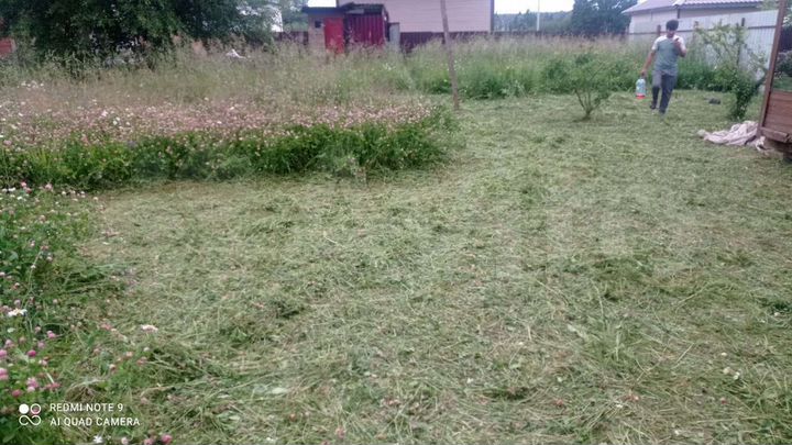 Участок 65 сот. (СНТ, ДНП)