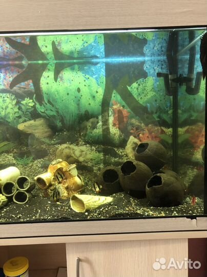 Аквариум 200 литров с тумбой